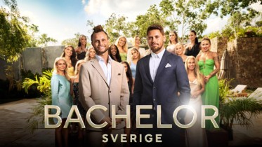 Bachelor