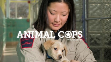 Animal Cops Philadelphia