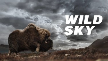 Oändlig himmel