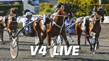 V4 Live