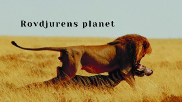 Rovdjurens planet