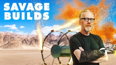 Savage Builds