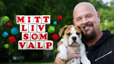 Mitt liv som valp