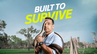 Built to Survive