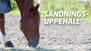 Sändningsuppehåll