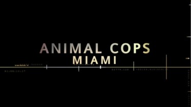 Animal Cops Miami