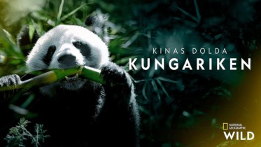 Kinas dolda kungariken