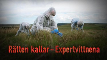 Rätten kallar - Expertvittnena