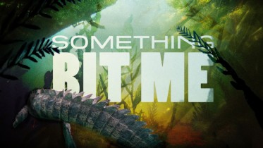 Hjälp, jag har blivit stucken!