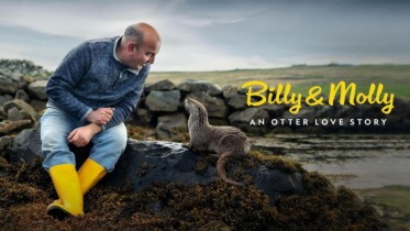 Världens natur: Billy & Molly: An Otter Love Story